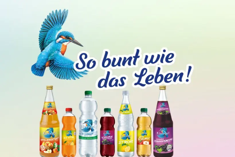 Bild-Eisvogel-1000x667